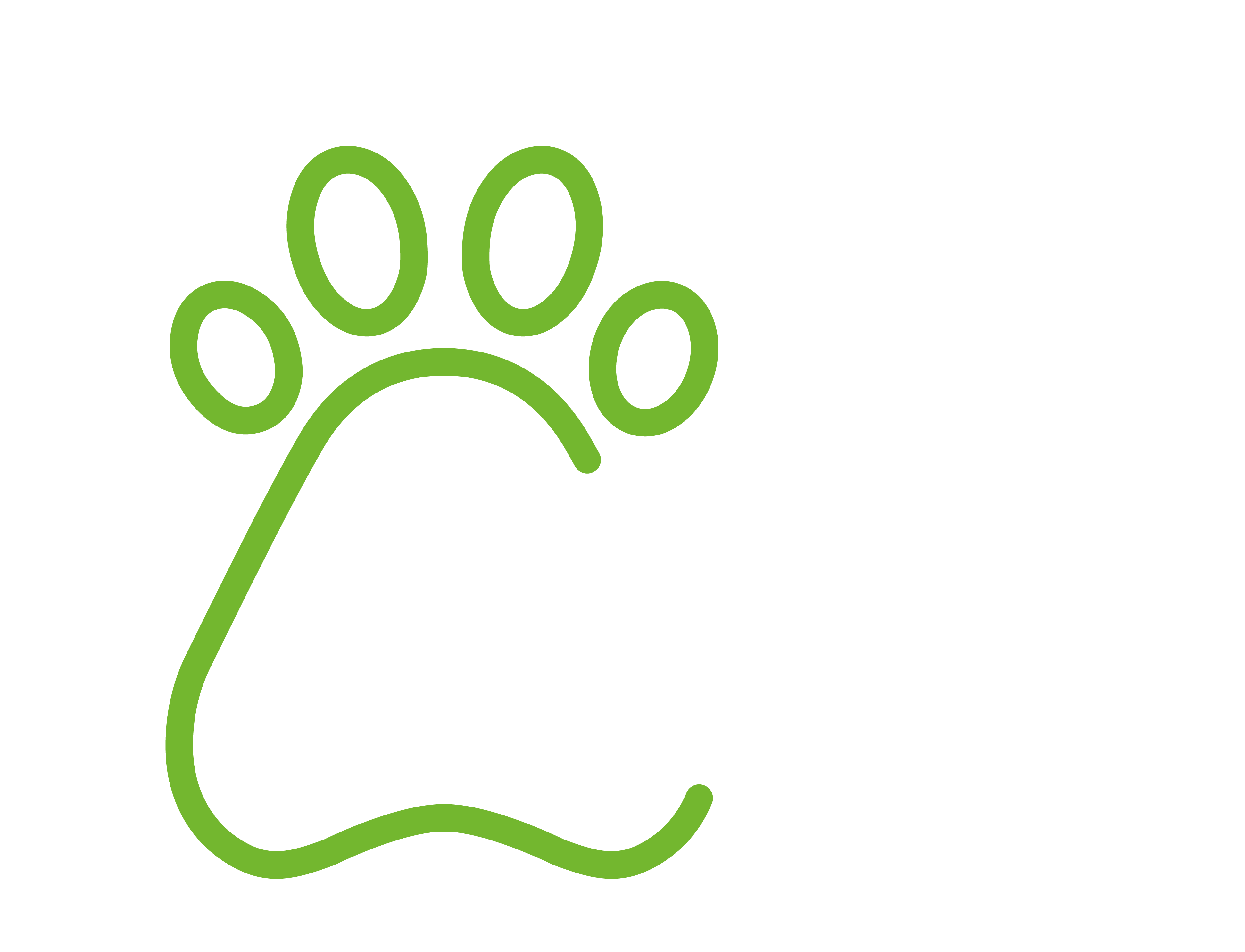 Petsupermarket